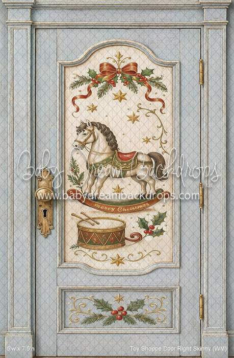 Toy Shoppe Door Right Skinny (WM)