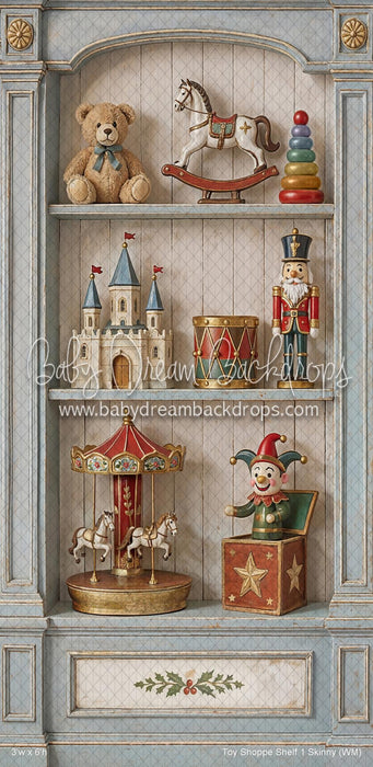 Toy Shoppe Shelf 1 Skinny (WM)
