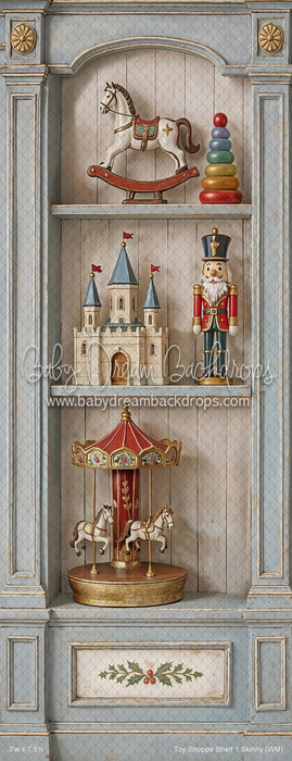 Toy Shoppe Shelf 1 Skinny (WM)