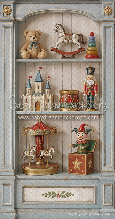 Toy Shoppe Shelf 1 Skinny (WM)