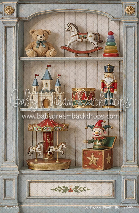 Toy Shoppe Shelf 1 Skinny (WM)