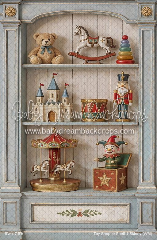 Toy Shoppe Shelf 1 Skinny (WM)