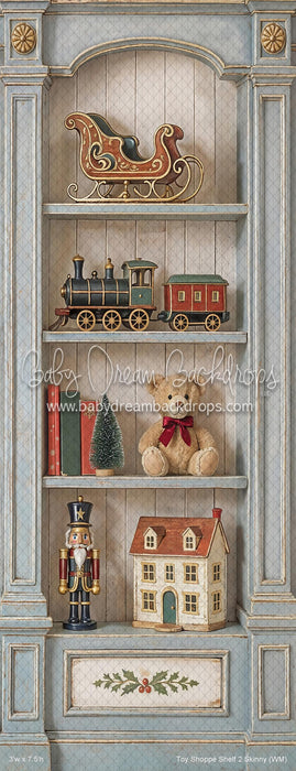Toy Shoppe Shelf 2 Skinny (WM)