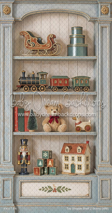 Toy Shoppe Shelf 2 Skinny (WM)