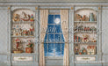 Toy Shoppe Window (WM)
