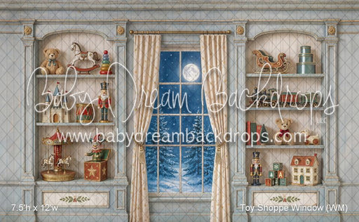 Toy Shoppe Window (WM)