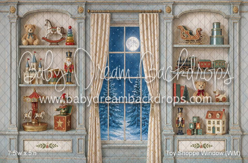 Toy Shoppe Window (WM)
