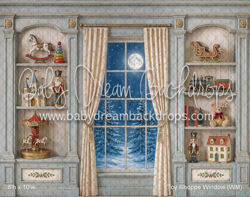 Toy Shoppe Window (WM)