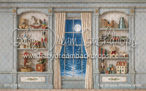 Toy Shoppe Window (WM)