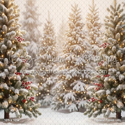 Toyland Forest (JA)
