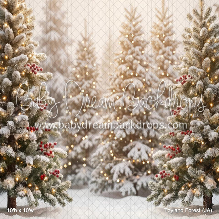 Toyland Forest (JA)