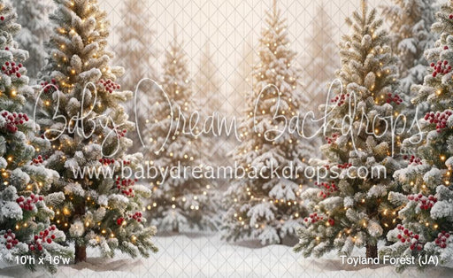 Toyland Forest (JA)