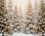 Toyland Forest (JA)
