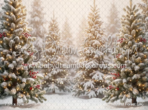 Toyland Forest (JA)
