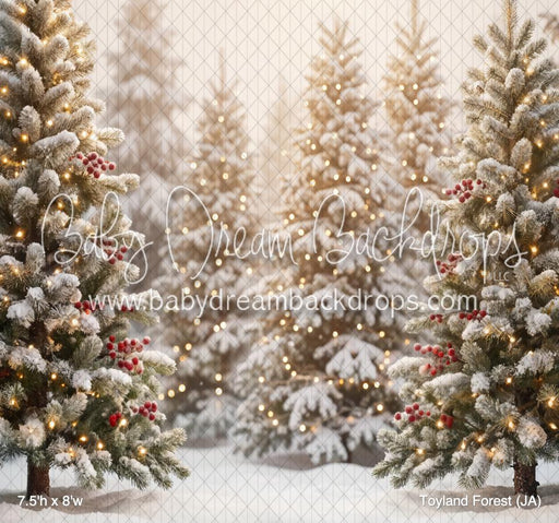 Toyland Forest (JA)