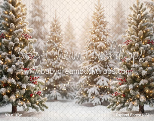 Toyland Forest (JA)