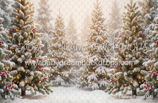 Toyland Forest (JA)