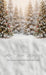 Toyland Forest Sweeps (JA)