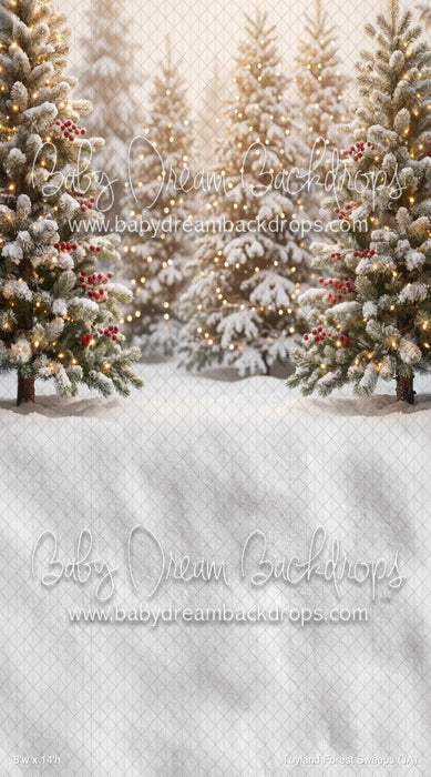 Toyland Forest Sweeps (JA)