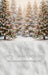 Toyland Forest Sweeps (JA)
