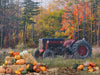 Tractor Pumpkin Picking (JG)