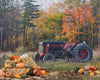 Tractor Pumpkin Picking (JG)