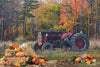 Tractor Pumpkin Picking (JG)