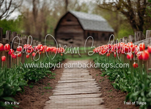 Trail of Tulips (VR)