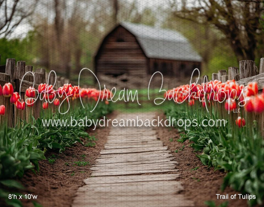 Trail of Tulips (VR)