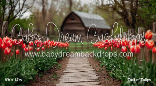 Trail of Tulips (VR)