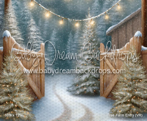 Tree Farm Entry (VR)