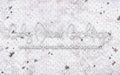 Tree Farm Fabric Floor (WM)