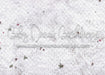 Tree Farm Floor (WM)