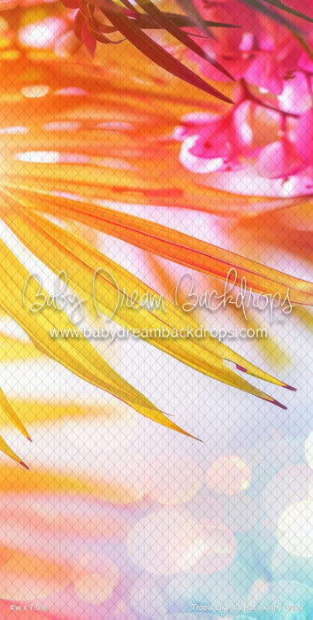 Tropic Like ItÃ¢â‚¬â„¢s Hot Skinny (WM)