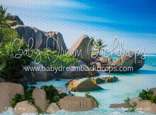Tropical Beach Cove (JG)