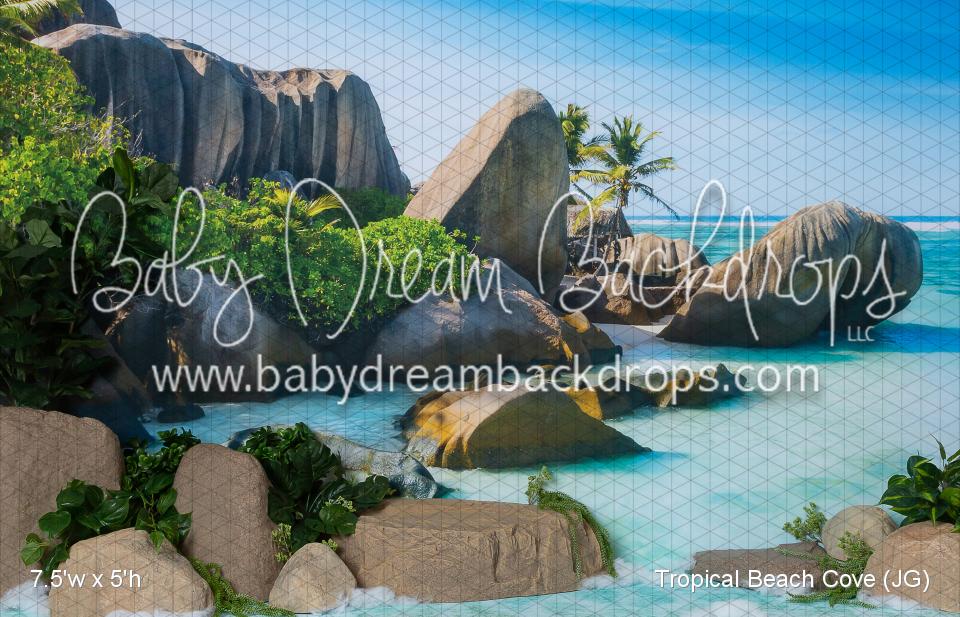 Tropical Beach Cove (JG)