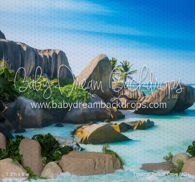 Tropical Beach Cove (JG)