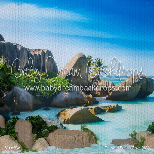 Tropical Beach Cove (JG)
