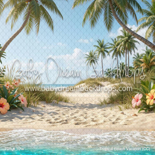 Tropical Beach Vacation (CC)