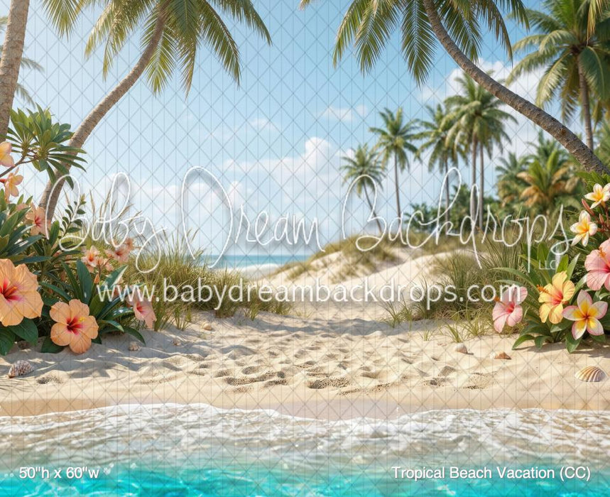 Tropical Beach Vacation (CC)