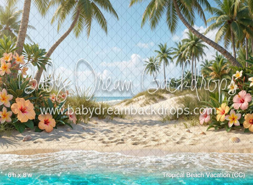 Tropical Beach Vacation (CC)