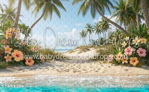Tropical Beach Vacation (CC)