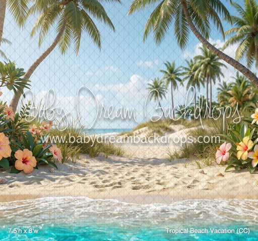 Tropical Beach Vacation (CC)