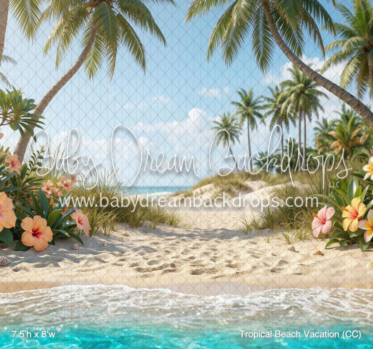 Tropical Beach Vacation (CC)