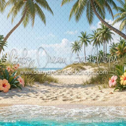 Tropical Beach Vacation (CC)
