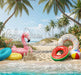 Tropical Beach Vacation Floaties (CC)