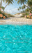 Tropical Beach Vacation Sweeps (CC)