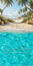Tropical Beach Vacation Sweeps (CC)