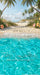Tropical Beach Vacation Sweeps (CC)