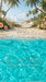 Tropical Beach Vacation Sweeps (CC)